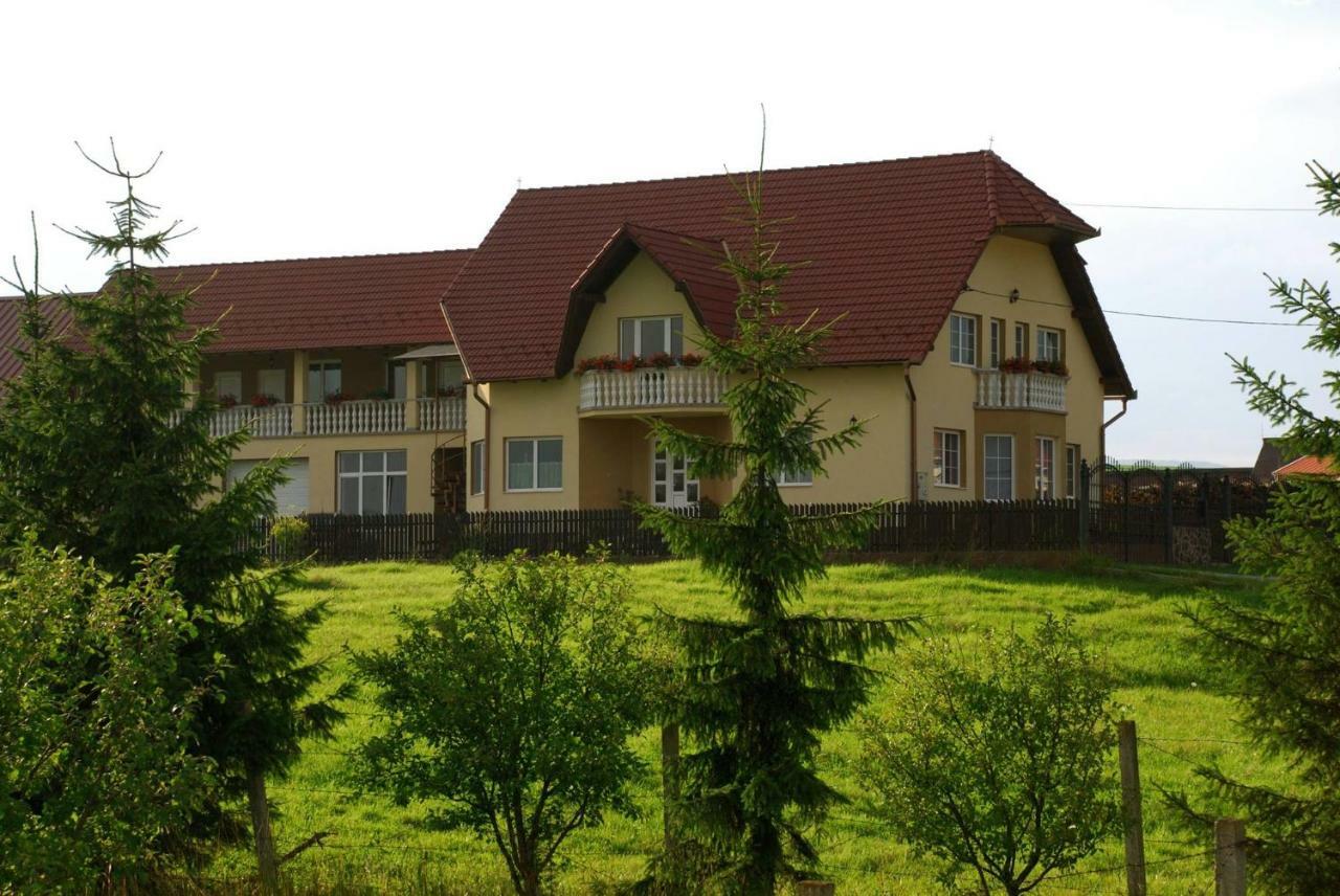 Margareta Vendeghaz Hotel Lupeni  Exterior photo