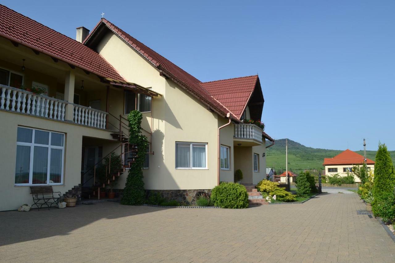 Margareta Vendeghaz Hotel Lupeni  Exterior photo